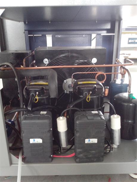 ����̩���������